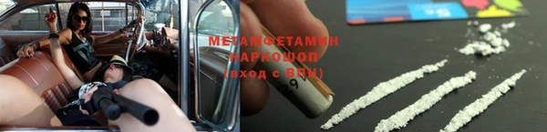 мяу мяу мука Белокуриха
