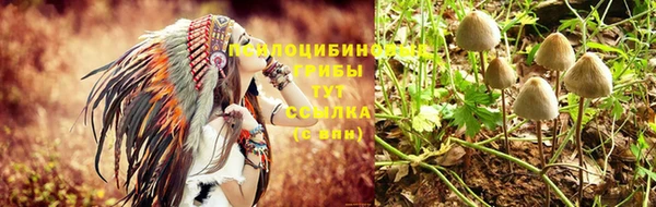 мяу мяу мука Белокуриха
